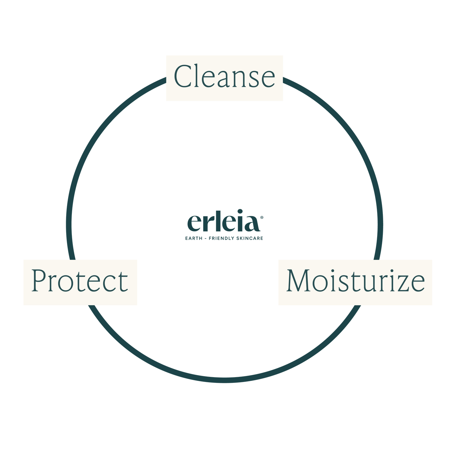 A diagram with three parts - Cleanse, Moisturize, Protect - with the Erleia logo inside