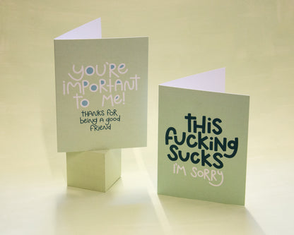 Photo of 2 greeting cards, one says "You're important to me! Thanks for being a good friend" and the other says "This fucking sucks, I'm sorry"